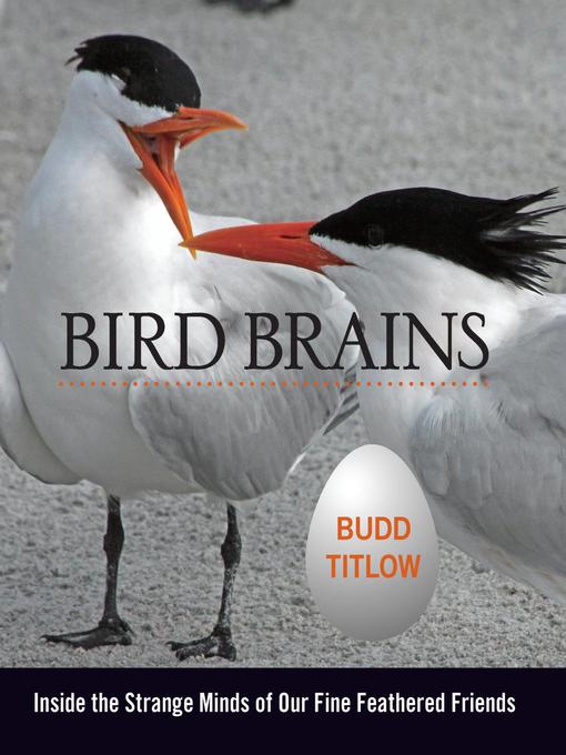 Title details for Bird Brains by Budd Titlow - Available